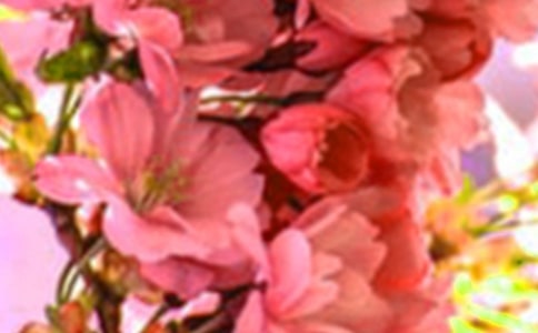 ���������Ļ��䡷�����