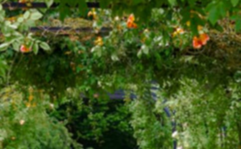 (精选)《巨人的花园》教学反思