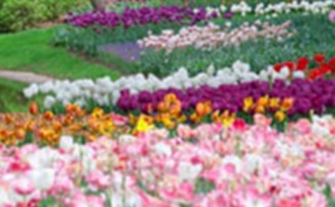 �ٻ�԰���̰�15ƪ