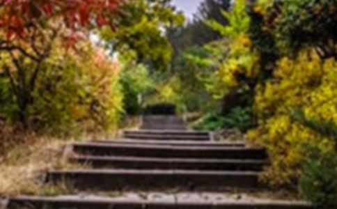 ˭�Ļ�԰��̰�