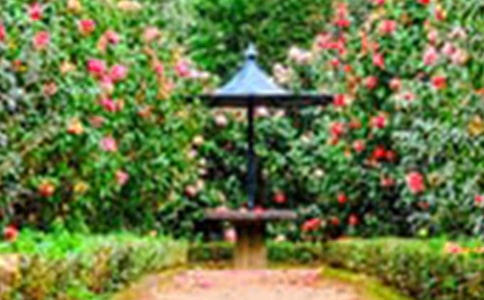 �����˵Ļ�԰��˵�θ�15ƪ