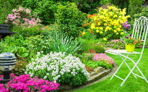 巨人花园教学设计