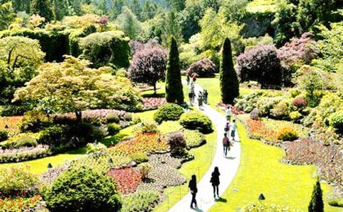 巨人的花园教学设计