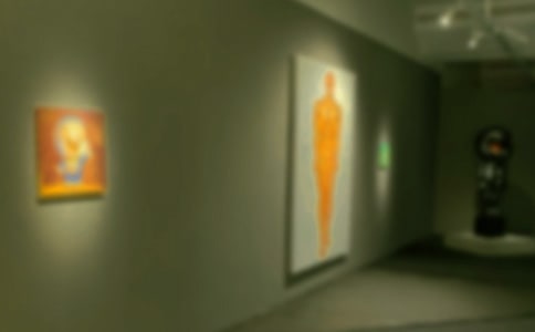 ��չ���뺯 ��չ���뺯����