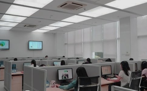 ���ڻ���Ա��ʵϰ����