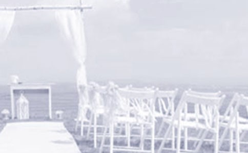 ���ɻ����л��