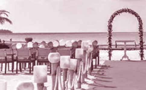 �����������´�