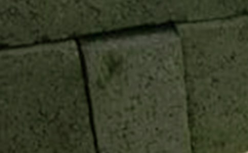 ����������а���ͬ