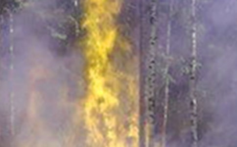 ����������ô��̰�