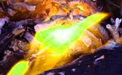 ���������Ҳ��½̰�