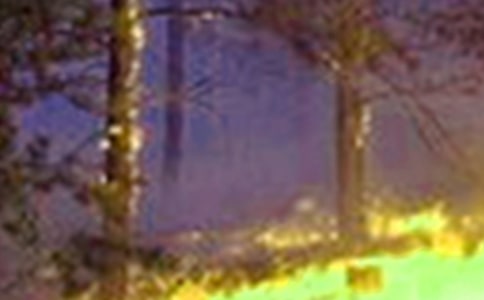 ���������������ĵ����