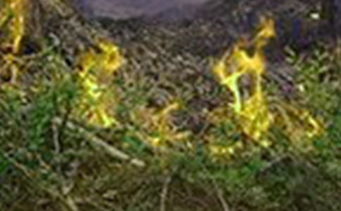 �������ַ��ع����ܽ�