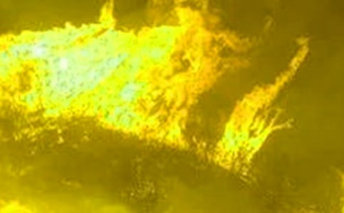 �����ֹۺ��