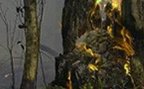 怎样避免火灾大班教案