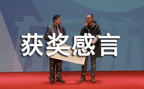 优秀团队代表获奖感言15篇