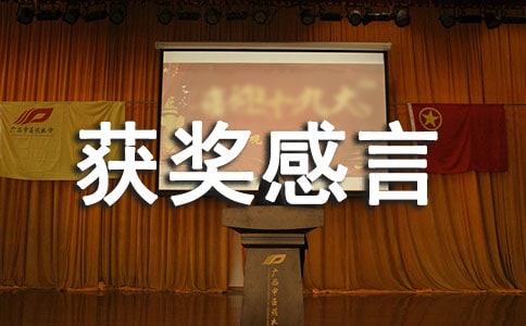 劳动之星获奖感言范文