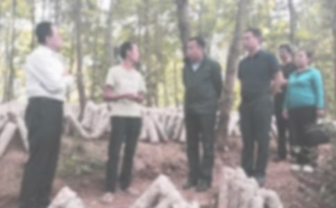 ѧ��Υ�ͼ�����14ƪ