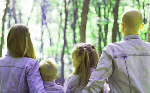 �������Ͷ��ҳ�����