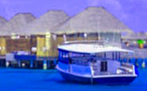 ����ѧ������ѧϰ�ܽ᷶��