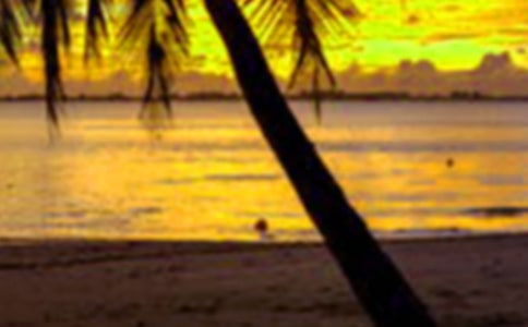 ���ڸ����ܽ�