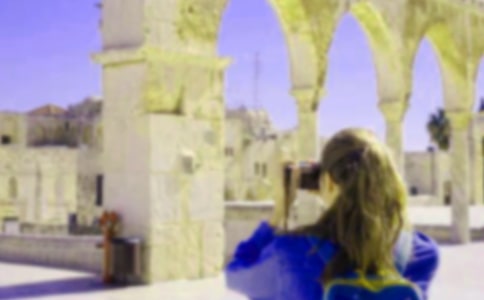 ���������ټ����ܽ�