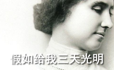 �����������������������[����]