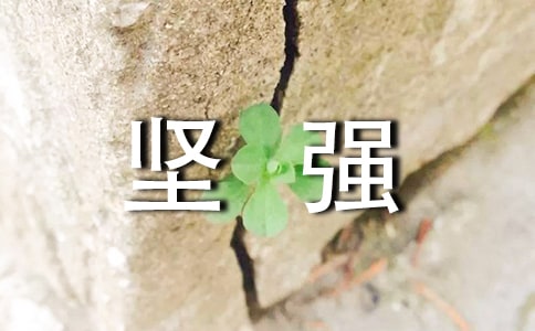 坚强个性留言