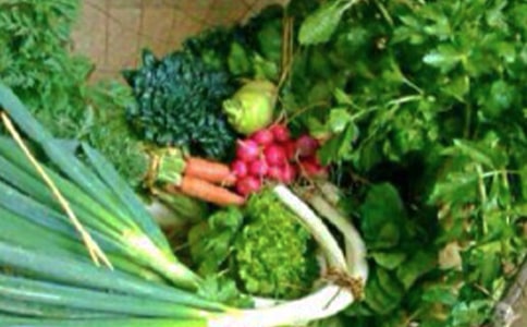 ��ཡ����̰����Ļ��7ƪ