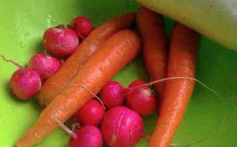 Сѧ�����Ľ�����������