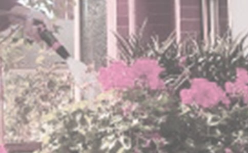 《达尔文浇花》教学设计