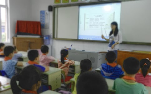 С���ѧ�ĵ����