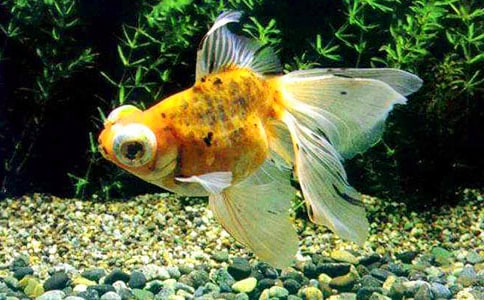 ���ͽ�������