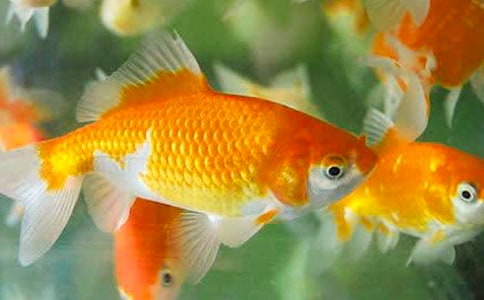 ���ͽ������з���