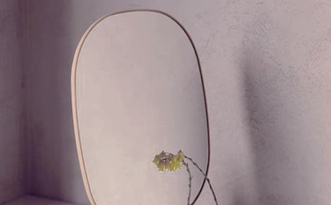 小班小花猫照镜子教案