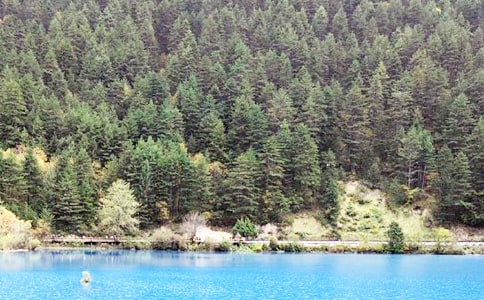 ��կ����ѧ���