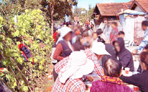 �����ϯ��ͬ