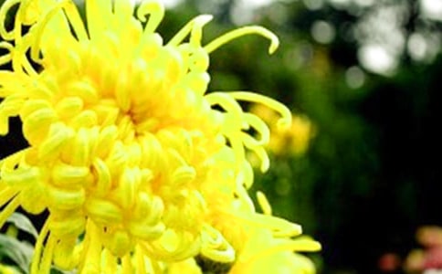 �ջ���ֲ�չ���ͬ