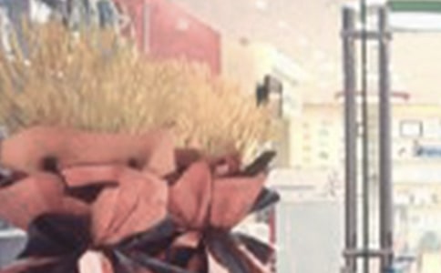 ��ϲ��ҵ�����Ի���50��