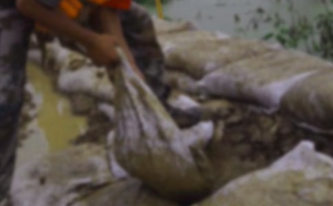 关于抗洪抢险的心得体会范文