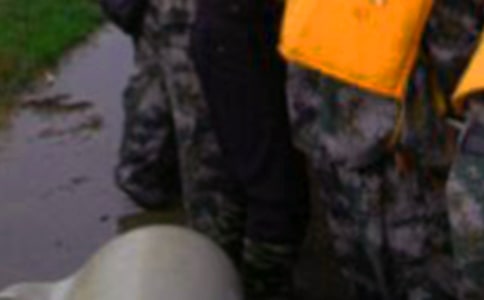 ��Ѵ������ֹ����ܽ�