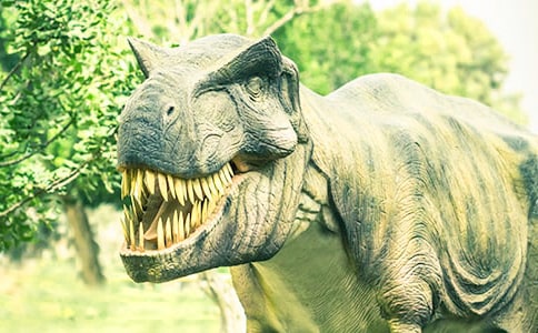 【通用】飞向蓝天的恐龙教案