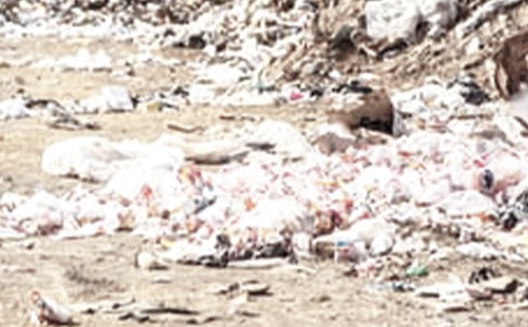 ��������Э����ģ��