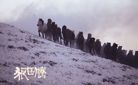 ����ͼ�ڡ������(ͨ��15ƪ)