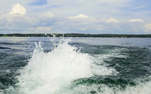 �����˻�����ѧ���8ƪ