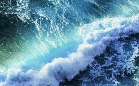 �����˻����̰�