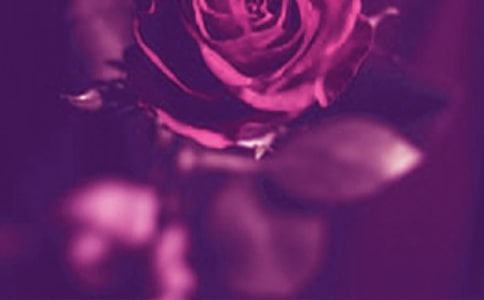 ��������˵˵���ԣ�ͨ��40�䣩