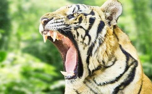 ���ϻ����ס������