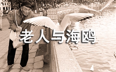 �����뺣Ÿ����з��Ĳο�����