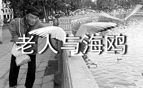 �������뺣Ÿ����ѧ���