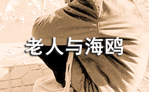 老人与海鸥教学设计第二课时